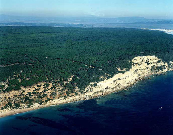 Costa de los Caños de Meca. Barbate