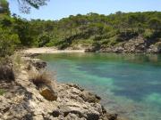 Cala del Pinar (ses Caletes) Alcudia