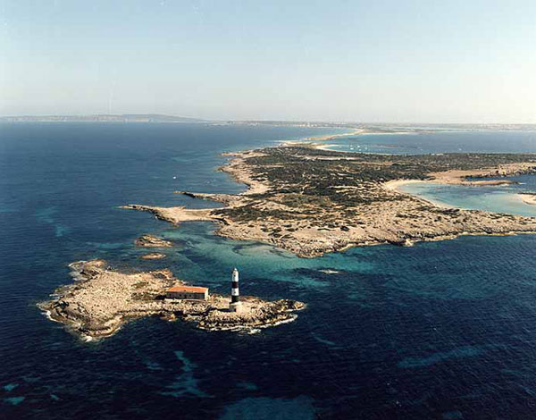 Isla de los Puercos e Isla Espalmador. Faro d'en Pou