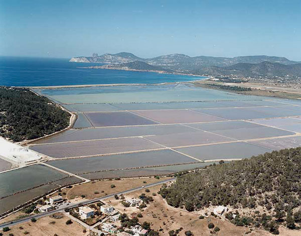 Salinas de Ses Salines y costa S y SW del Ibiza