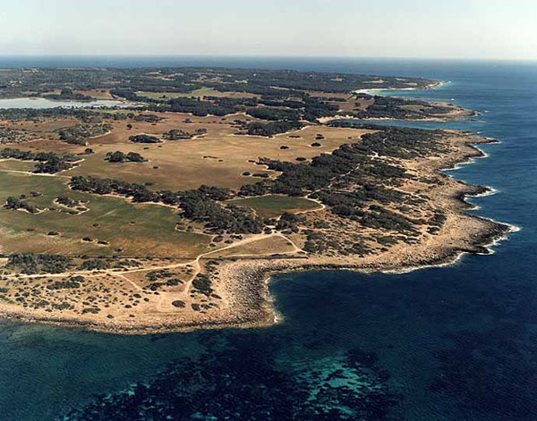 Costa S de Mallorca. Al fondo el Cap de ses Salines