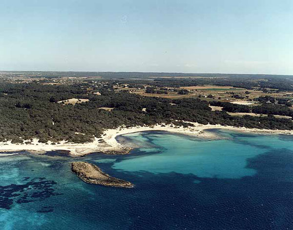 Platja d'es Trenc. Illa Gavina