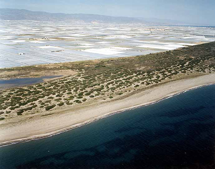 Playa de Almerimar / San Miguel Levante y Playa de Cerillos (El Ejido) 