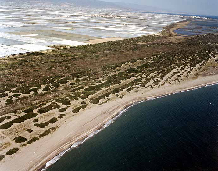 Playa de Almerimar / San Miguel Levante y Playa de Cerillos (El Ejido) 