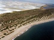 Playa de Almerimar / San Miguel Levante y Playa de Cerillos (El Ejido) 