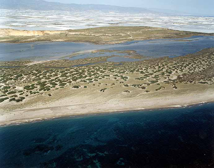 Playa de Almerimar / San Miguel Levante y Playa de Cerillos (El Ejido) 