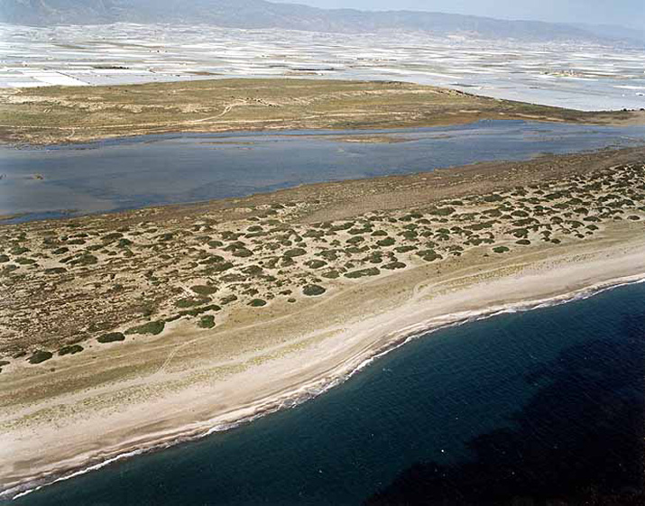 Playa de Almerimar / San Miguel Levante y Playa de Cerillos (El Ejido) 