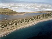 Playa de Almerimar / San Miguel Levante y Playa de Cerillos (El Ejido) 