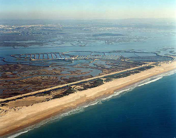 Playa de Camposoto 