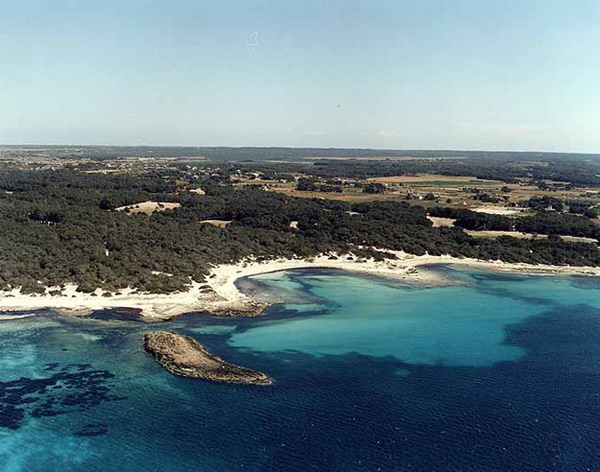 Platja d'es Trenc 