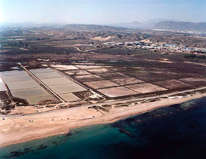 Playa de los Saladares