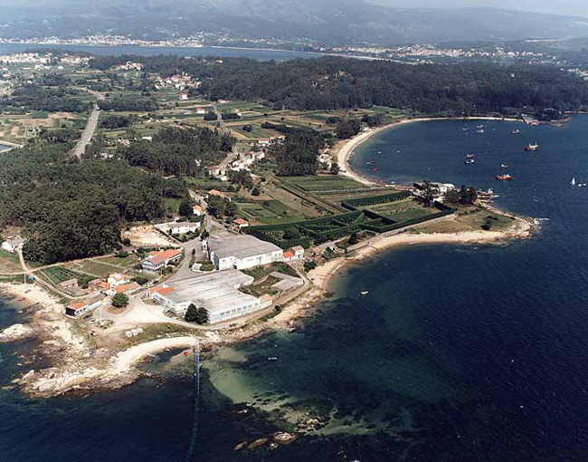 Praia de Ladeira do Chazo