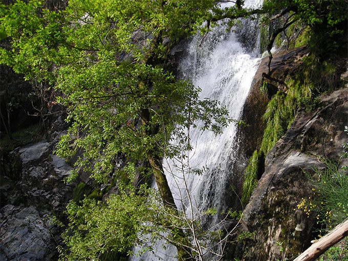 Cascada de Ribasieira