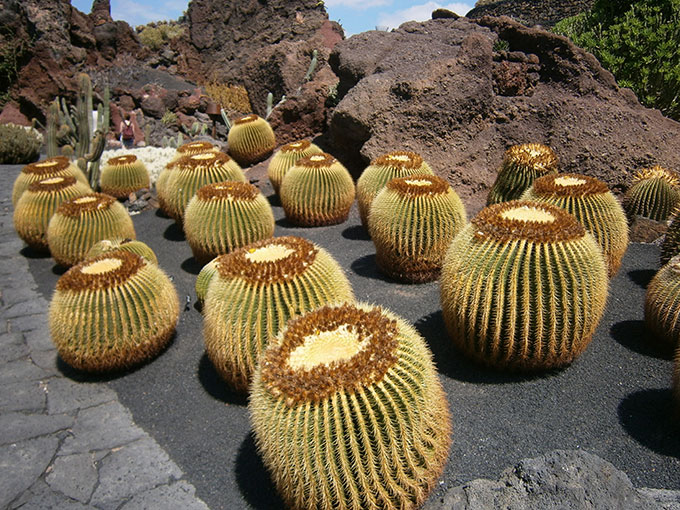 Lanzarote