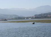 Boya Nº 5.- Canal de acceso al puerto de Colindres