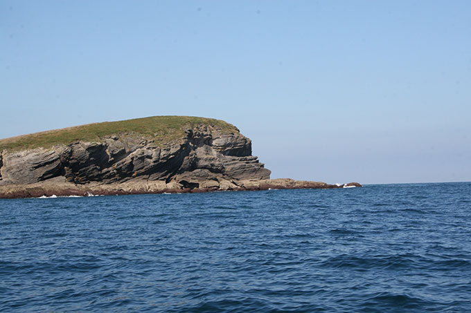 La punta de la Ballena desde el E