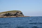 La punta de la Ballena desde el E