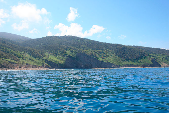 La costa entre Bakio y Armintza