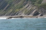 Punta Sakoneta. Así entran las sierras del Flisch en la mar. Marea alta