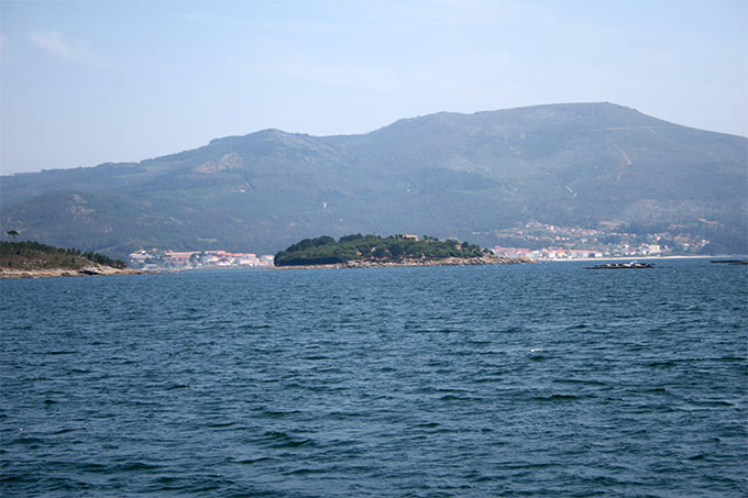 Isla de Ceba desde Esteiro