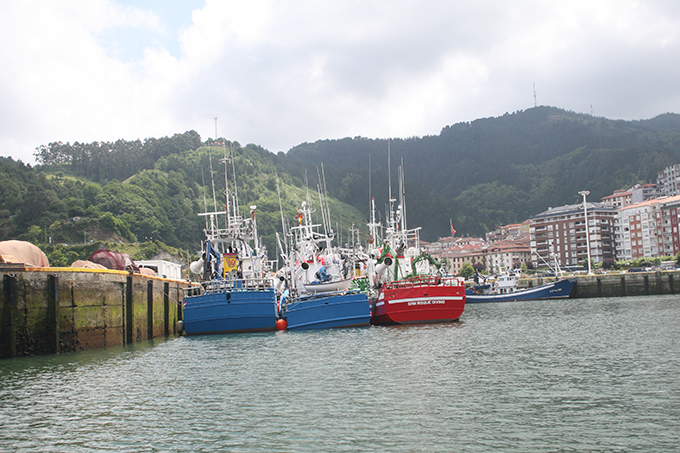 Puerto de Ondarroa. Puerto pesquero