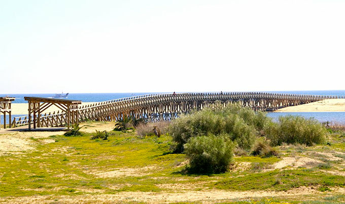 Playa de la Gaviota