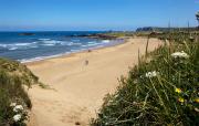 Playa de Verdicio