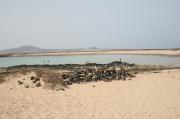 Playa de la Concha. Isla de Lobos. La Oliva. Fuerteventura