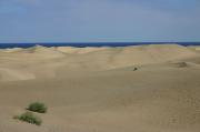 Playa del Inglés. Maspalomas