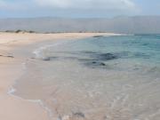 Playa El Salado (La Graciosa)