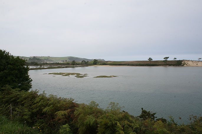 Playa de Oyambre