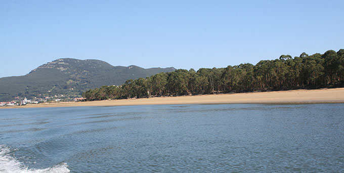 Playa de Regatón