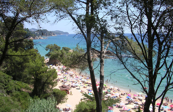 Cala de Treumal (Blanes)