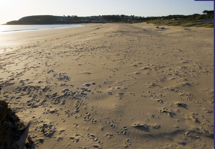 Praia Montalvo (Sanxenxo)