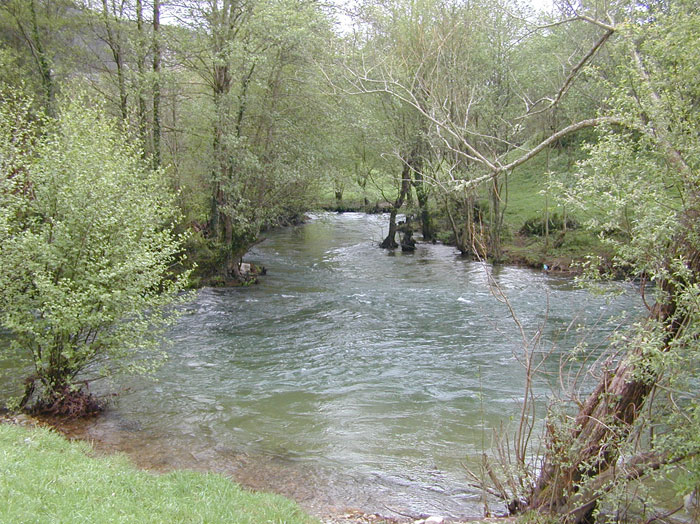 Eo recibe por la derecha las aguas del Rodil