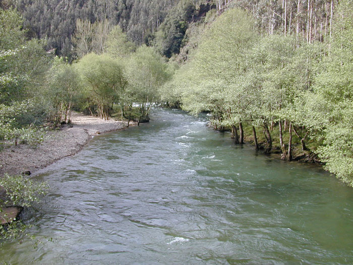 Presa de Louredal