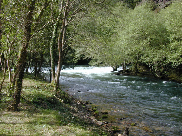 Presa de Louredal 