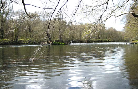 Playa fluvial de Begonte