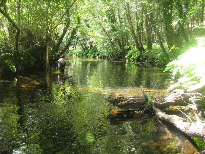 Coto de pesca