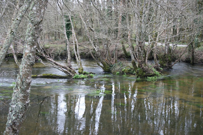 Río Parga