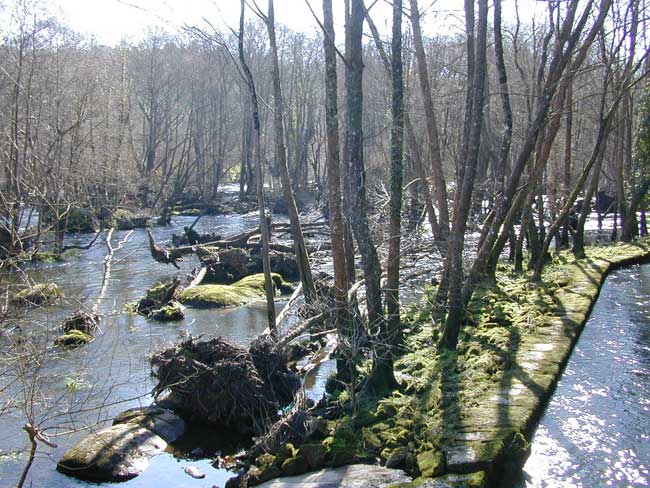 Río Miño en Outeiro de Rei