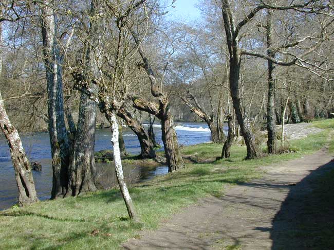 Río Miño