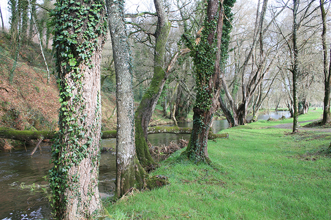 Aguas abajo del molino