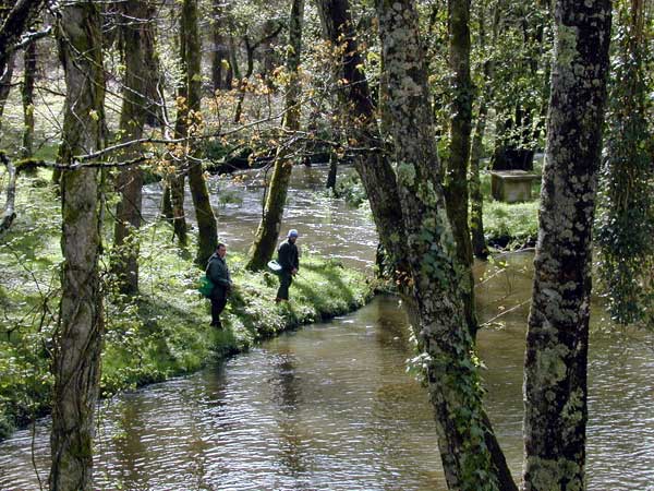  Coto de Terrachá. Pescadores en el Coto. Playa fluvial de Baltar