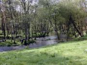 Área recrestiva y playa fluvial de Baltar