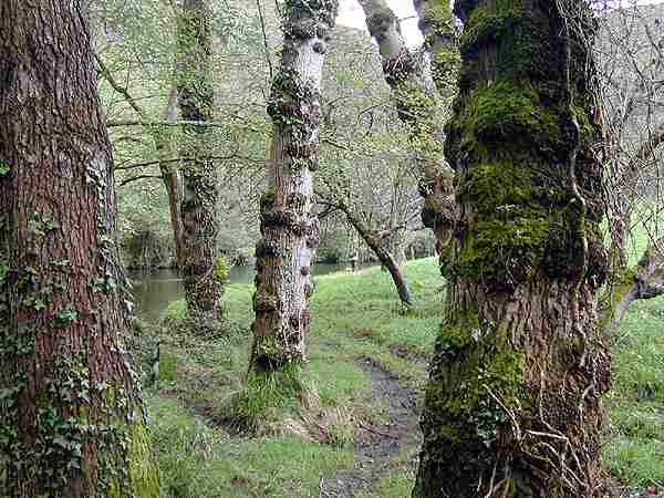 Paraje de la presa do Muiño de Andrés