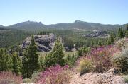 Gran Canaria. El Sur