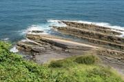 Flysch 