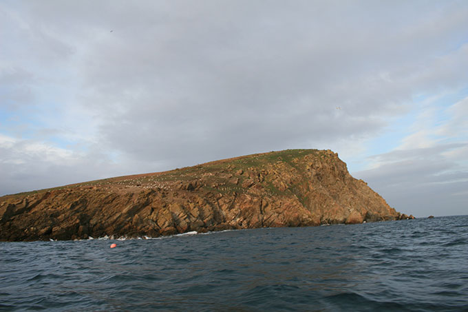 Isla Coelleira