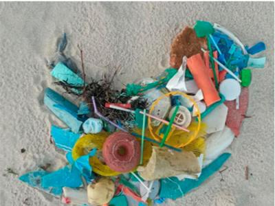 Científicos del IEO analizan a través de la red social Twitter el interés de la sociedad sobre la basura marina